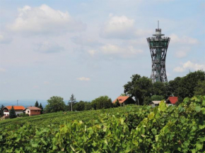 Zidanica Lan, Lendava